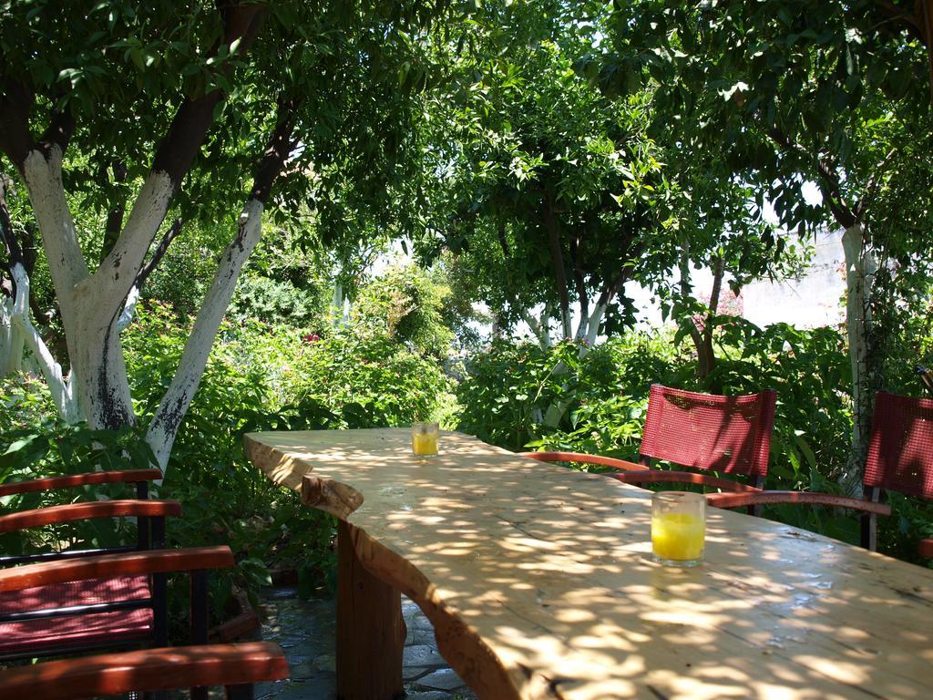Εlegant Villa Liakos Pigí المظهر الخارجي الصورة
